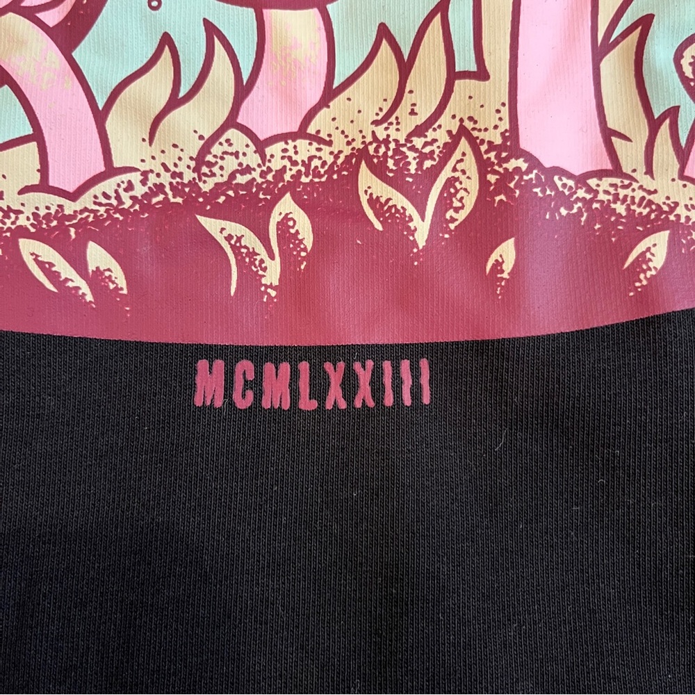 NWT Santa Cruz Black graphic Sweatshirt - Picture 7 of 8